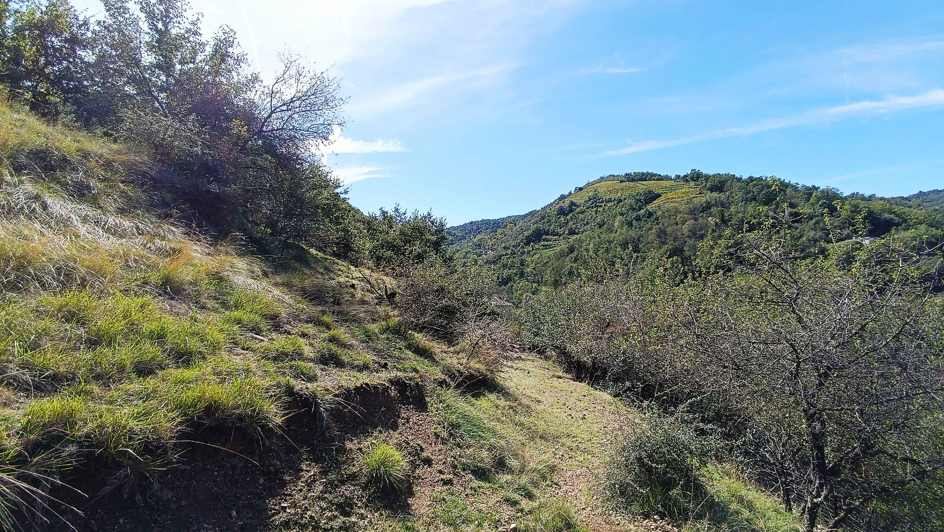 On continue de monter...