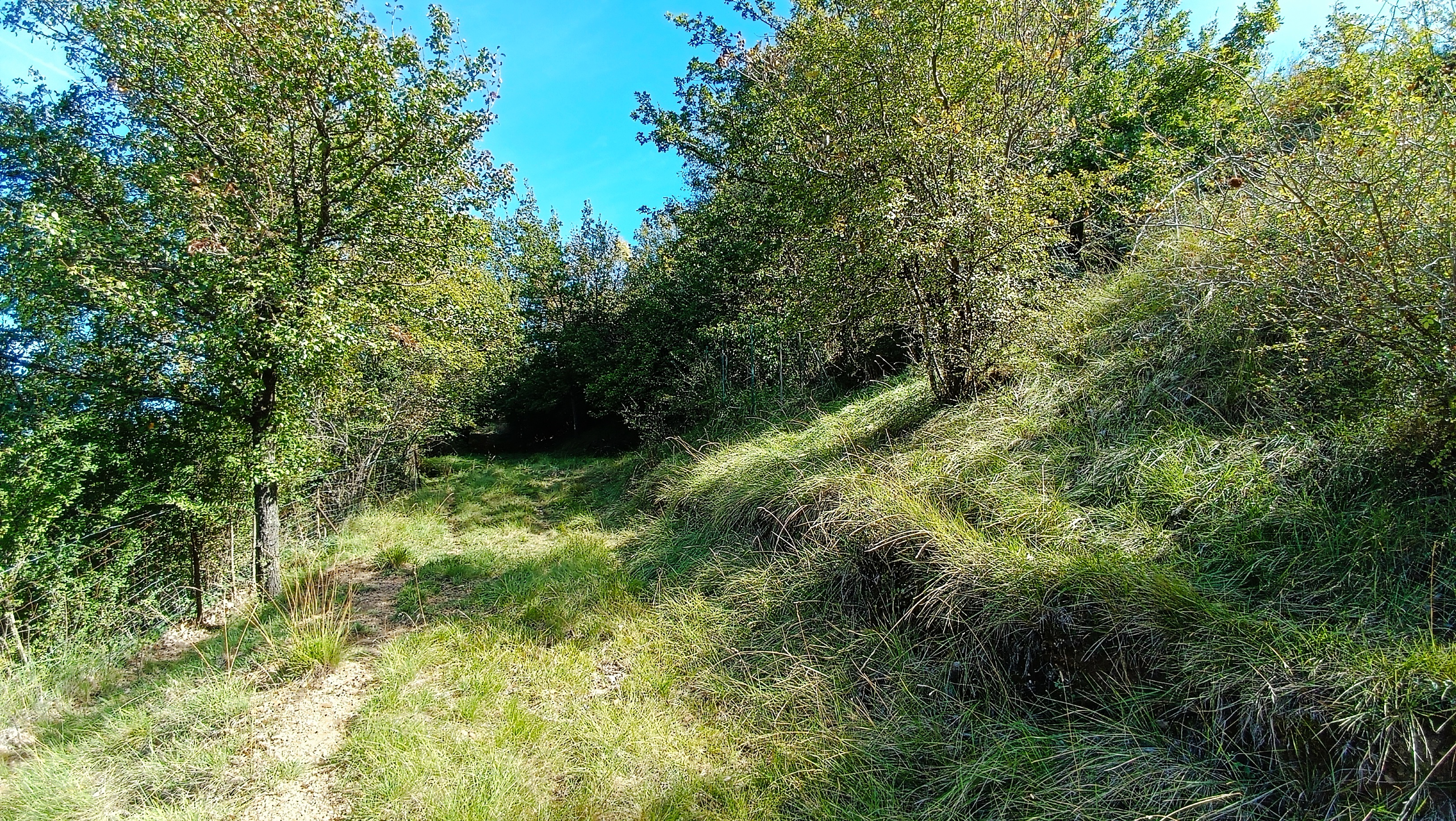 On continue de monter...